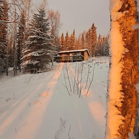 Northwoods Cottage Bed And Breakfast Fairbanks Exterior foto