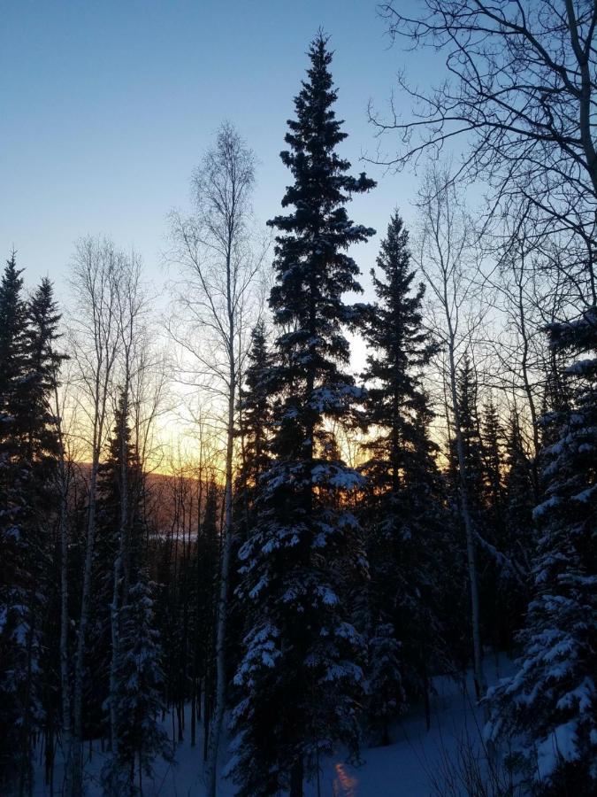 Northwoods Cottage Bed And Breakfast Fairbanks Exterior foto