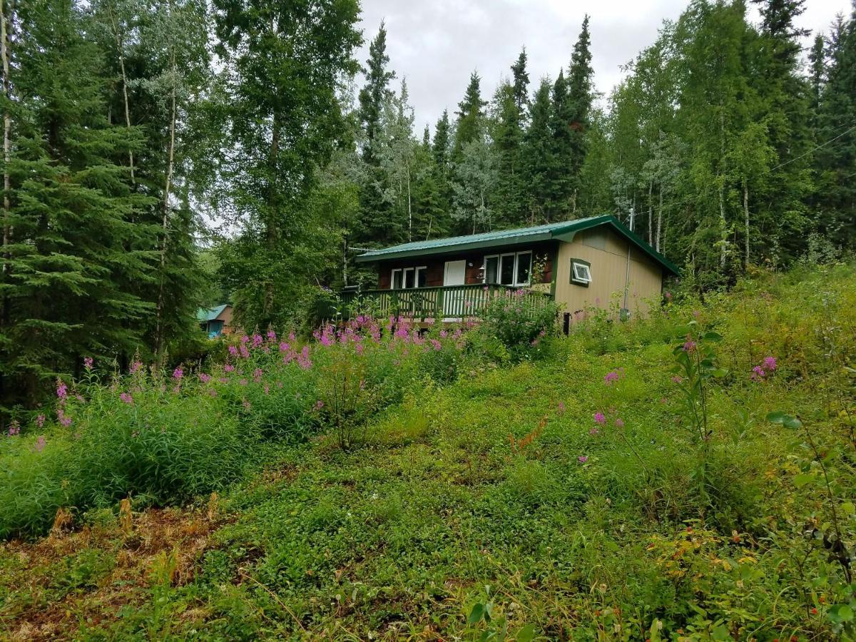 Northwoods Cottage Bed And Breakfast Fairbanks Exterior foto